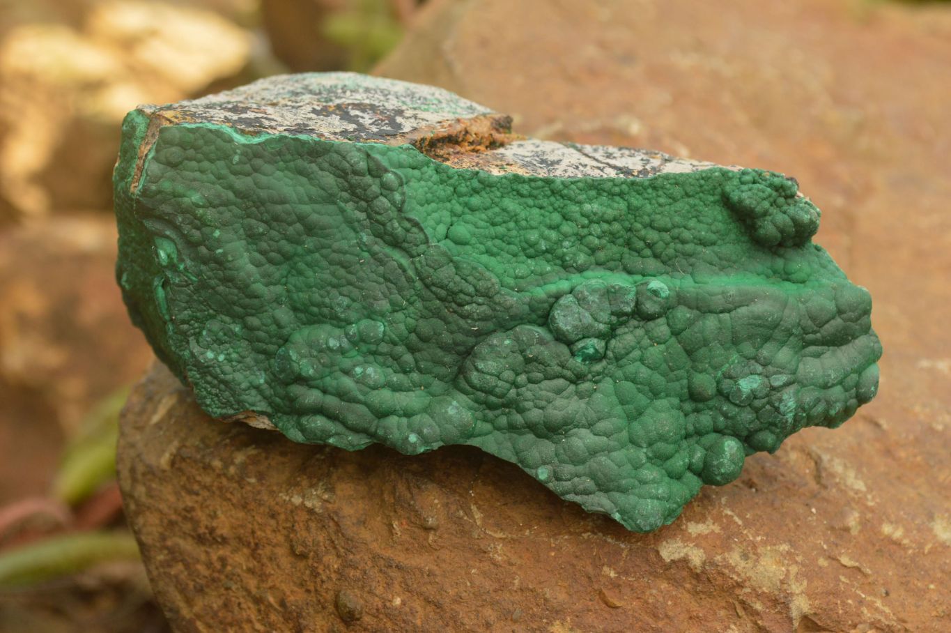 Natural Crystalline Malachite Specimens  x 6 From Tenke Fungurume, Congo - TopRock