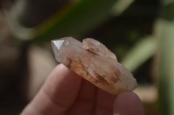 Natural Small Red Hematoid Quartz Crystals x 70 From Karoi, Zimbabwe - Toprock Gemstones and Minerals 