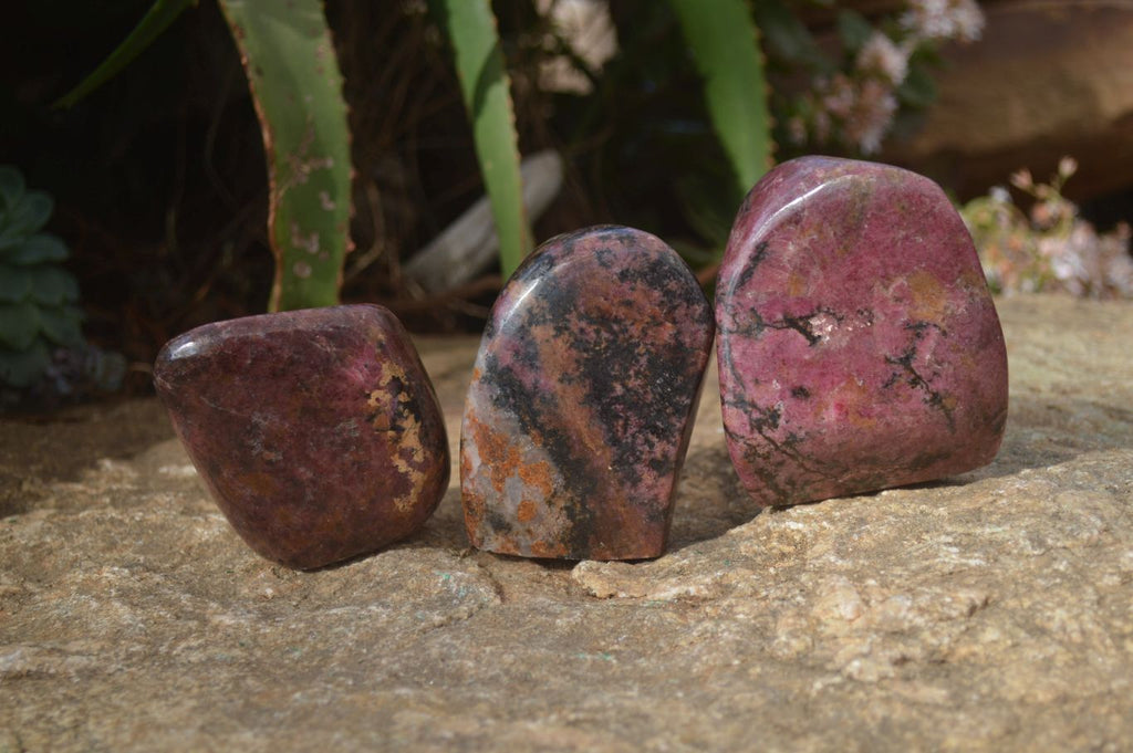 Polished Red Rhodonite Standing Free Forms x 3 From Zimbabwe - Toprock Gemstones and Minerals 