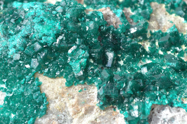 Natural Rare Bright Emerald Green Dioptase on Dolomite Matrix Cabinet Specimen x 1 From Congo - TopRock