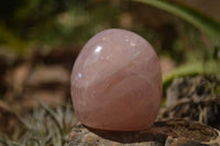 Polished  Pink Rose Quartz Standing Free Forms x 4 From Ambatondrazaka, Madagascar - TopRock