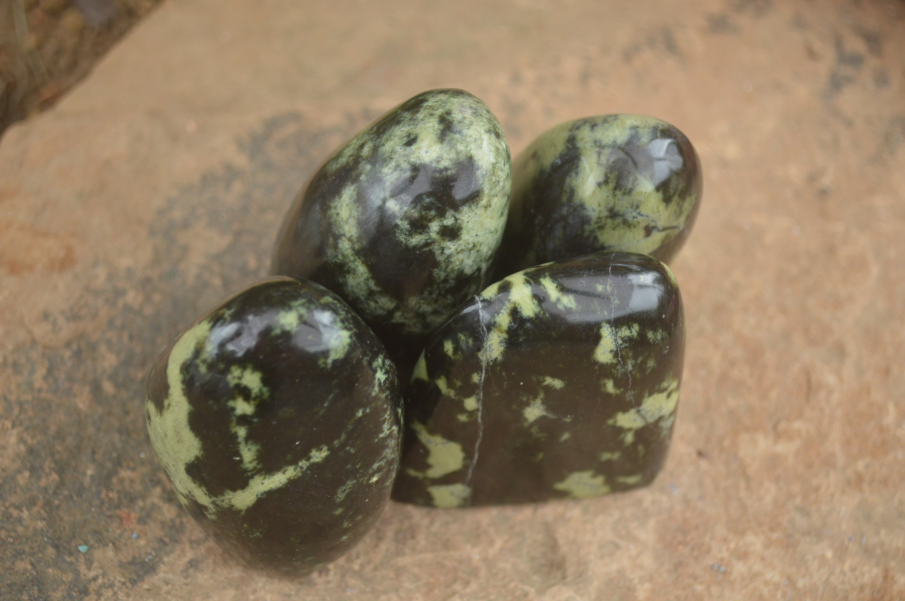 Polished Spotted Leopard stone Standing Free Forms  x 12 From Nyanga & Shamva, Zimbabwe - TopRock