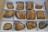 Polished Golden Tigers Eye Free Forms x 12 From Prieska, Northern Cape
