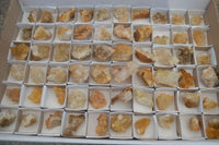 Natural Mini Golden Limonite / Lemonite Quartz Specimens  x 61 From Zambia - Toprock Gemstones and Minerals 