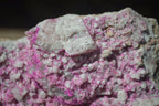 Natural Pink Salrose Cobaltion Dolomite Specimens  x 4 From Kakanda, Congo - Toprock Gemstones and Minerals 