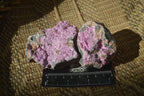 Natural Salrose Cobaltion Dolomite Specimens x 12 From Kakanda, Congo - Toprock Gemstones and Minerals 