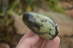 Polished Spotted Leopard stone Standing Free Forms  x 12 From Nyanga & Shamva, Zimbabwe - TopRock