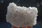Natural White Cactus Flower Spirit Quartz Specimens  x 2 From Boekenhouthoek, South Africa - Toprock Gemstones and Minerals 