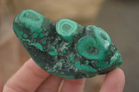 Polished Flower Malachite Free Forms  x 6 From Congo - Toprock Gemstones and Minerals 