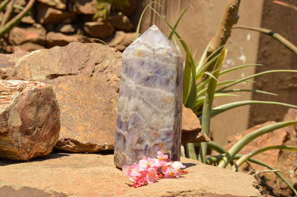 Polished Large Chevron Amethyst Point  x 1 From Madagascar - TopRock