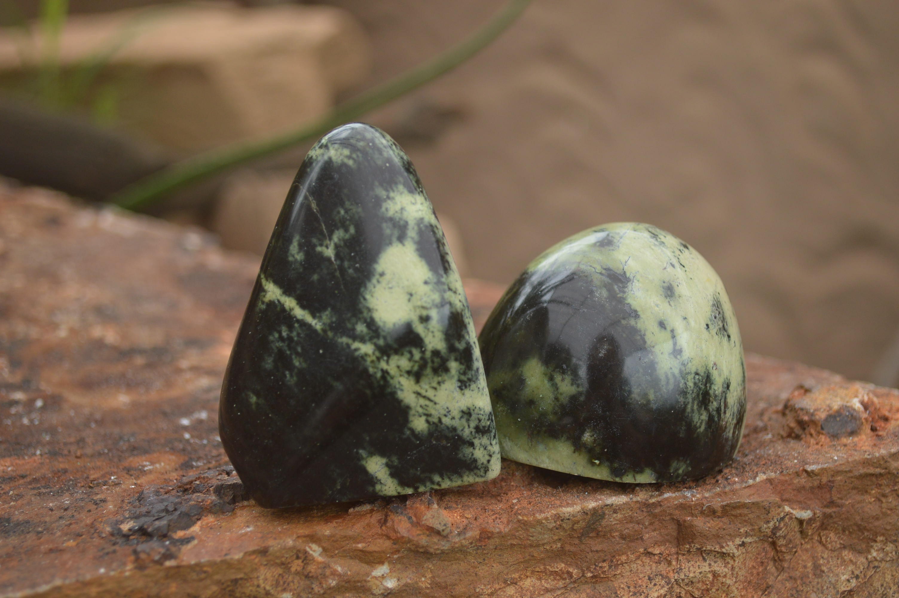 Polished Spotted Leopard stone Standing Free Forms  x 12 From Nyanga & Shamva, Zimbabwe - TopRock