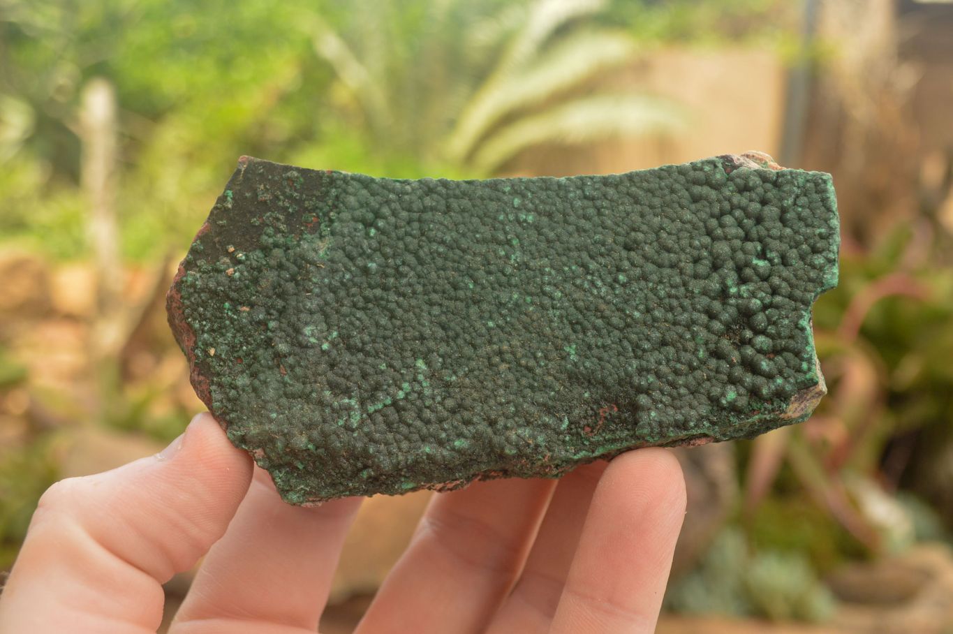 Natural Crystalline Malachite Specimens  x 6 From Tenke Fungurume, Congo - TopRock