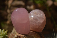 Polished  Pink Rose Quartz Standing Free Forms x 4 From Ambatondrazaka, Madagascar - TopRock