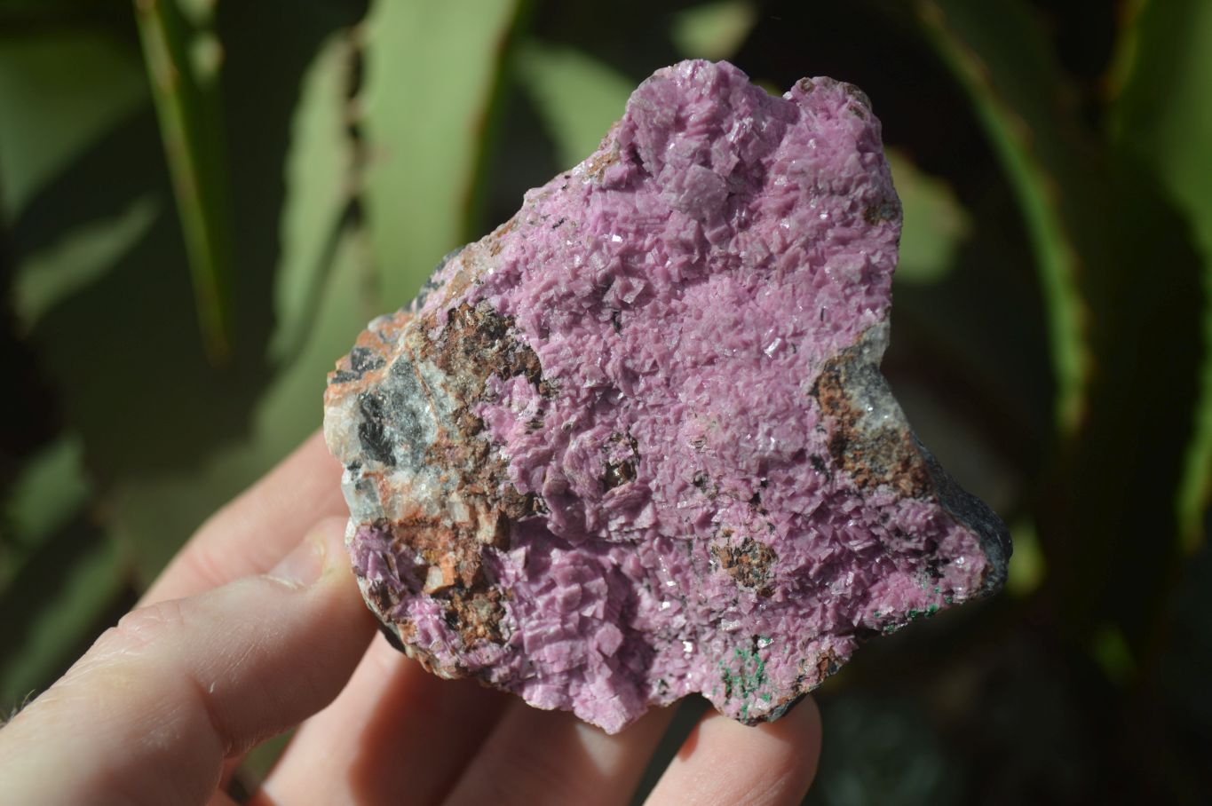 Natural Salrose Cobaltion Dolomite Specimens x 12 From Kakanda, Congo - Toprock Gemstones and Minerals 