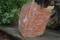 Natural New Giant Sunset Orange Calcite Specimens  x 1 From Spitzkop, Namibia - Toprock Gemstones and Minerals 