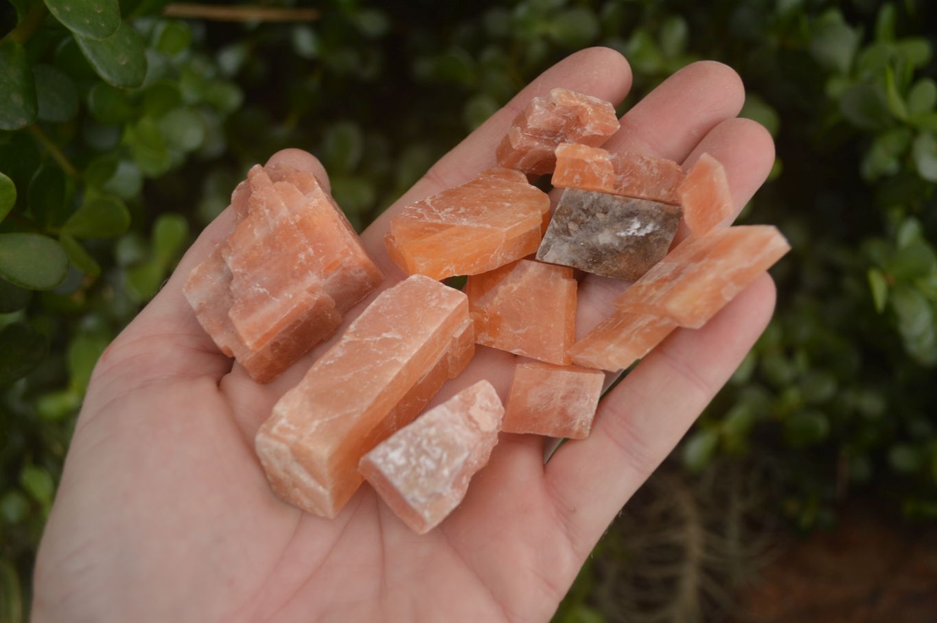 Natural New Sunset Orange Calcite Specimens  x 22 From Spitzkop, Namibia - Toprock Gemstones and Minerals 