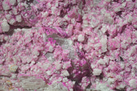 Natural Pink Salrose Cobaltion Dolomite Specimens  x 4 From Kakanda, Congo - Toprock Gemstones and Minerals 