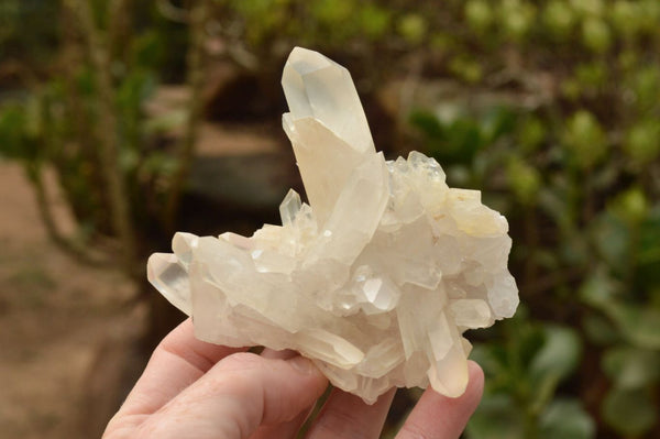 Natural Mixed Quartz Clusters With Long Intact Crystals  x 7 From Mandrosonoro, Madagascar - TopRock