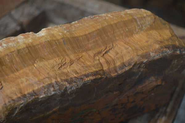 Natural Sliced Tigers Eye Specimen x 1 From Prieska, South Africa - Toprock Gemstones and Minerals 