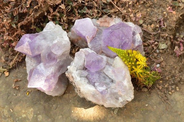 Natural Jacaranda Amethyst Clusters With Large Crystals   x 3 From Mumbwe, Zambia - TopRock