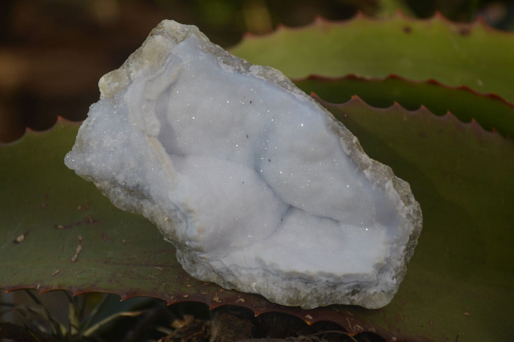Natural Blue Lace Agate Geode Specimens  x 12 From Nsanje, Malawi - Toprock Gemstones and Minerals 