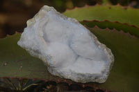 Natural Blue Lace Agate Geode Specimens  x 12 From Nsanje, Malawi - Toprock Gemstones and Minerals 