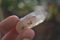 Natural Small Red Hematoid Quartz Crystals x 70 From Karoi, Zimbabwe - Toprock Gemstones and Minerals 