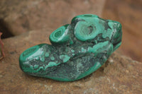 Polished Flower Malachite Free Forms  x 6 From Congo - Toprock Gemstones and Minerals 