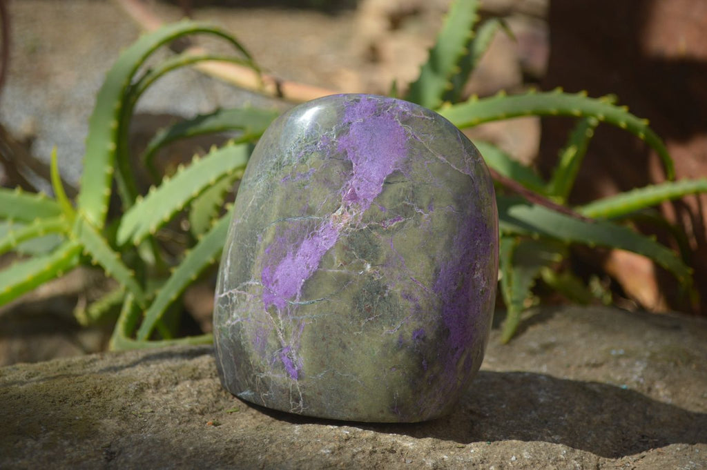 Polished Stichtite & Serpentine Standing Free Form x 1 From Barberton, South Africa - Toprock Gemstones and Minerals 