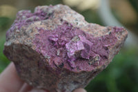 Natural Pink Salrose Cobaltion Dolomite Specimens  x 4 From Kakanda, Congo - Toprock Gemstones and Minerals 