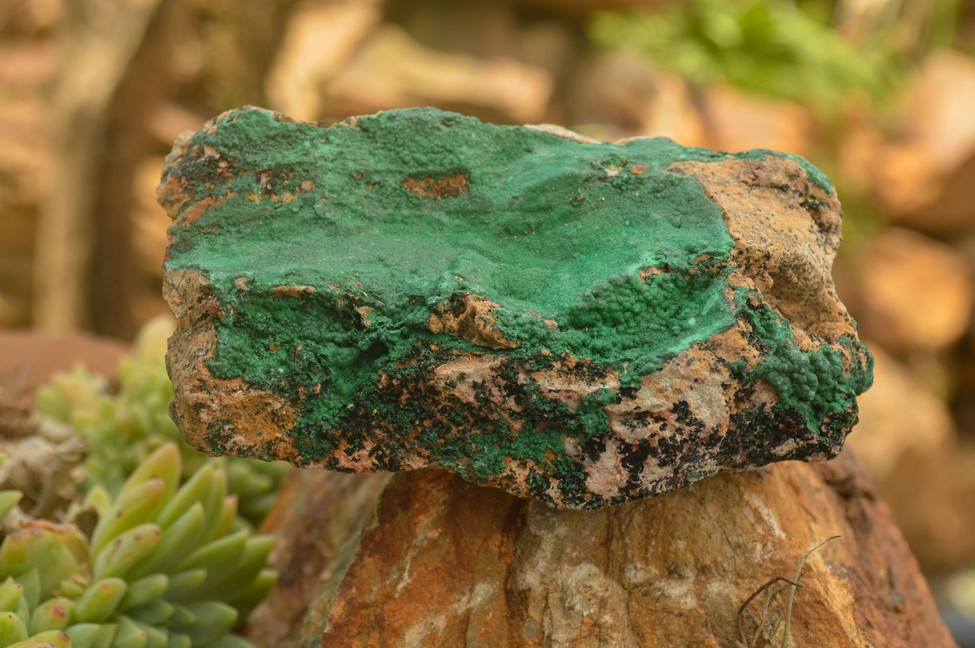 Natural Crystalline Malachite Specimens  x 6 From Tenke Fungurume, Congo - TopRock