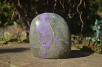Polished Stichtite & Serpentine Standing Free Form x 1 From Barberton, South Africa - Toprock Gemstones and Minerals 