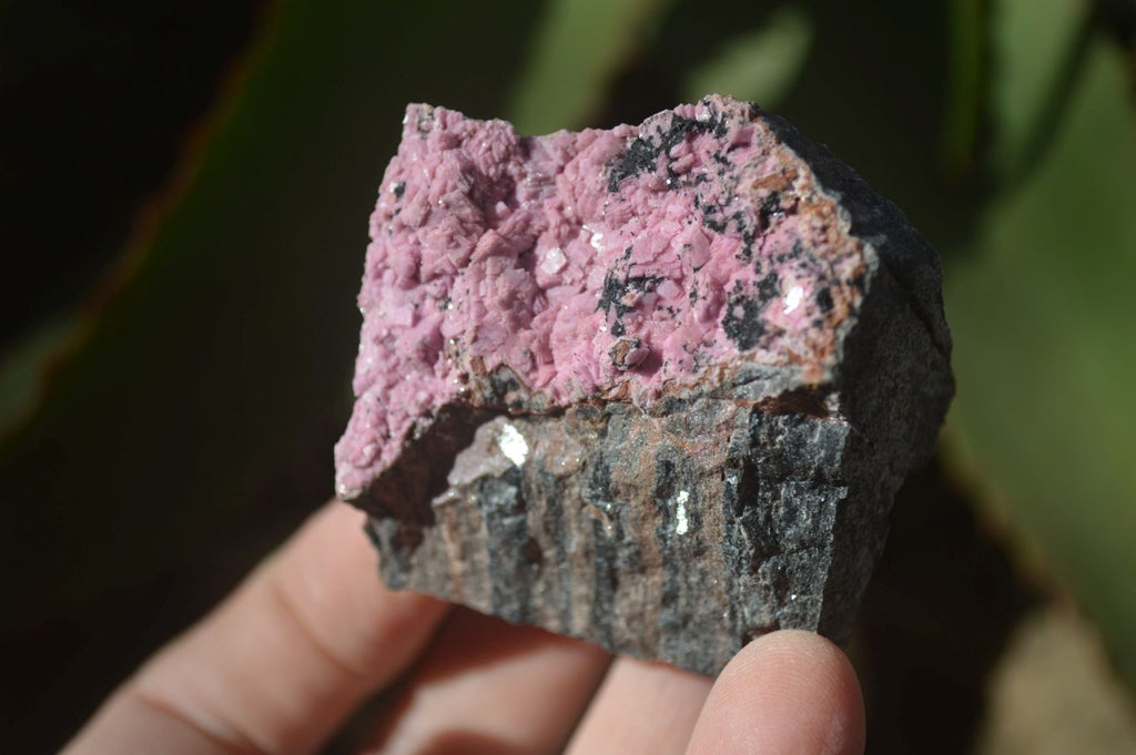 Natural Salrose Cobaltion Dolomite Specimens x 12 From Kakanda, Congo - Toprock Gemstones and Minerals 