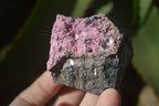 Natural Salrose Cobaltion Dolomite Specimens x 12 From Kakanda, Congo - Toprock Gemstones and Minerals 