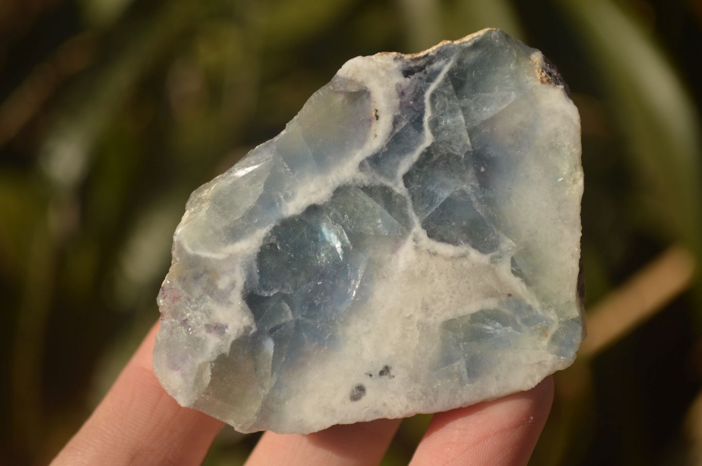 Polished  One Side Polished Watermelon Fluorite Pieces  x 10 From Uis, Namibia - Toprock Gemstones and Minerals 