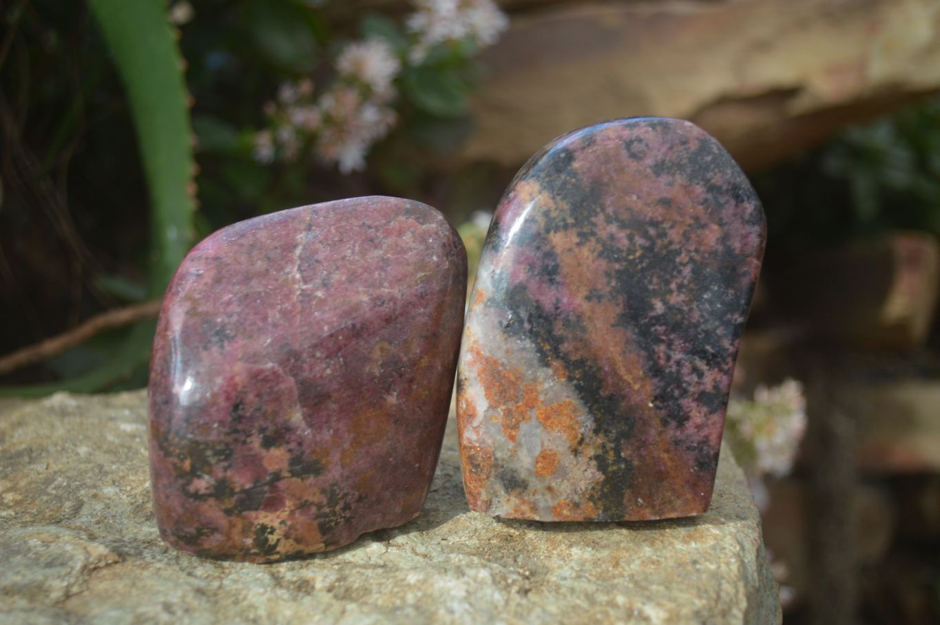 Polished Red Rhodonite Standing Free Forms x 3 From Zimbabwe - Toprock Gemstones and Minerals 