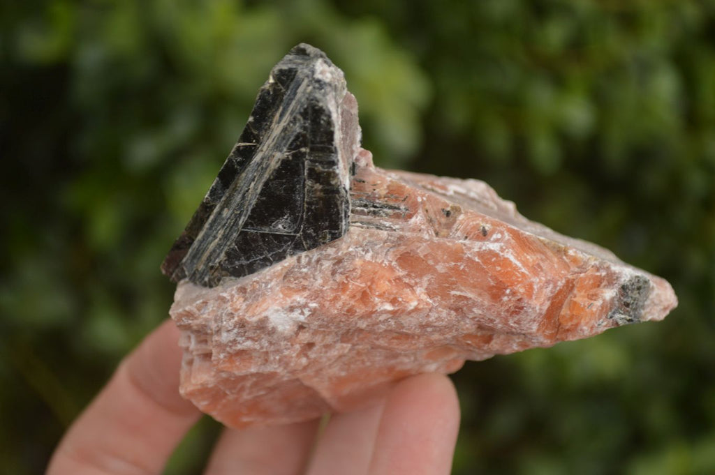 Natural New Sunset Orange Calcite Specimens  x 22 From Spitzkop, Namibia - Toprock Gemstones and Minerals 