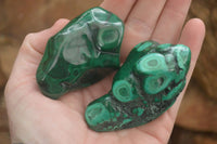 Polished Flower Malachite Free Forms  x 6 From Congo - Toprock Gemstones and Minerals 
