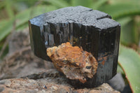 Natural Schorl Black Tourmaline Specimens  x 2 From Erongo Mountains, Namibia - TopRock