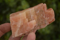 Natural New Sunset Orange Calcite Specimens  x 22 From Spitzkop, Namibia - Toprock Gemstones and Minerals 