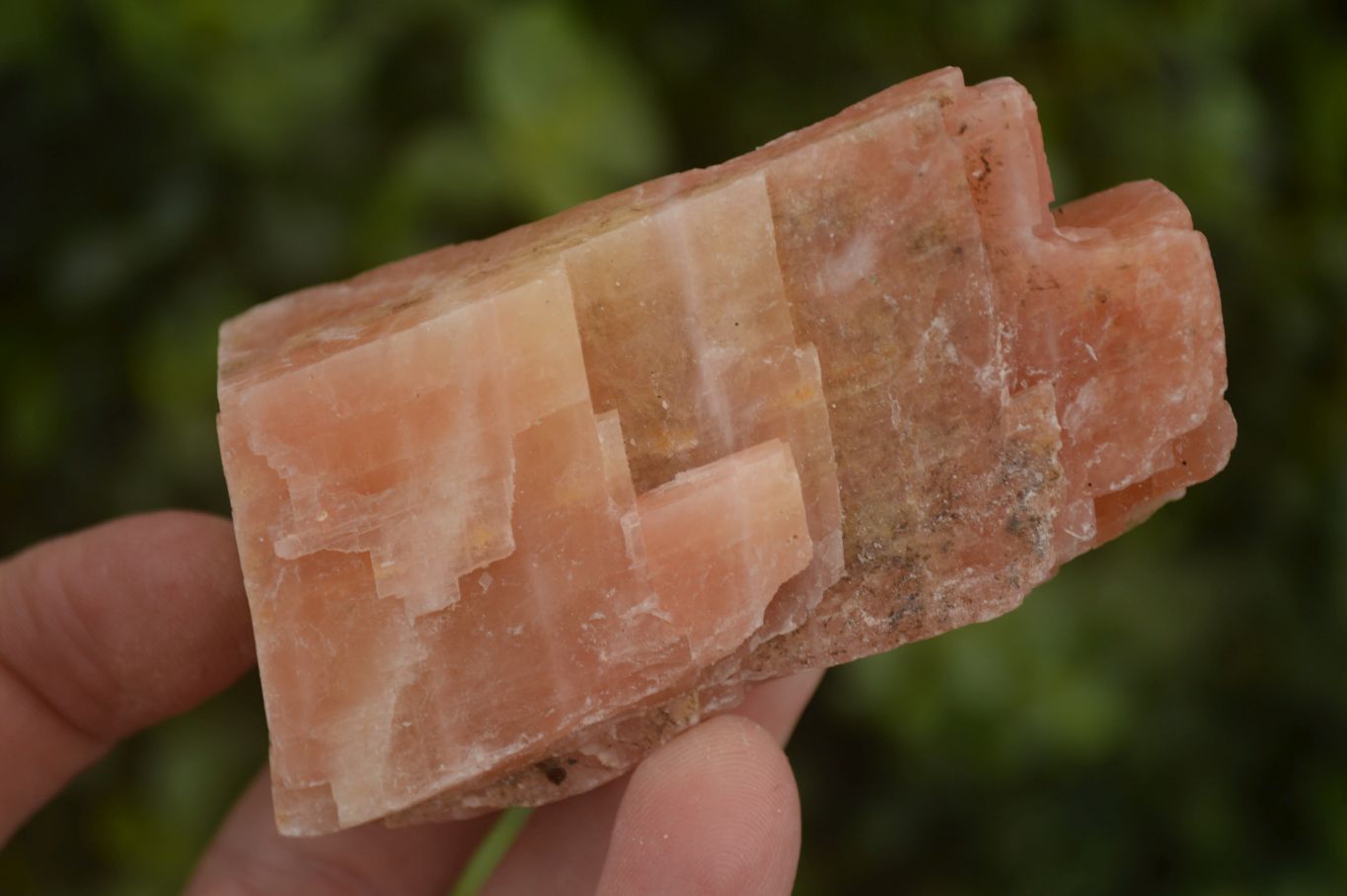 Natural New Sunset Orange Calcite Specimens  x 22 From Spitzkop, Namibia - Toprock Gemstones and Minerals 