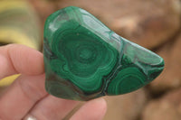Polished Flower Malachite Free Forms  x 6 From Congo - Toprock Gemstones and Minerals 