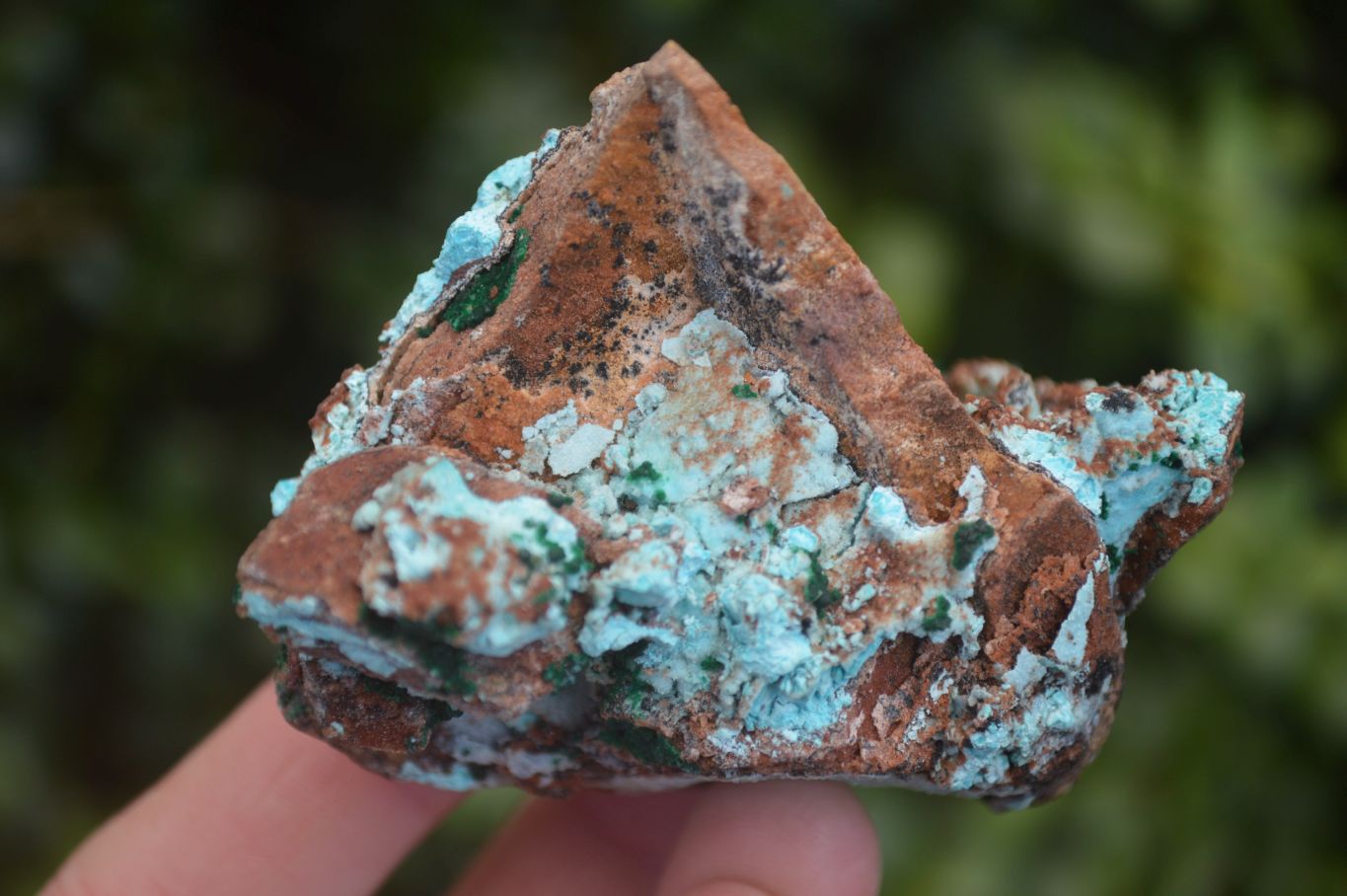 Natural Drusy Coated Chrysocolla & Malachite Specimens x 4 From Likasi, Congo - Toprock Gemstones and Minerals 