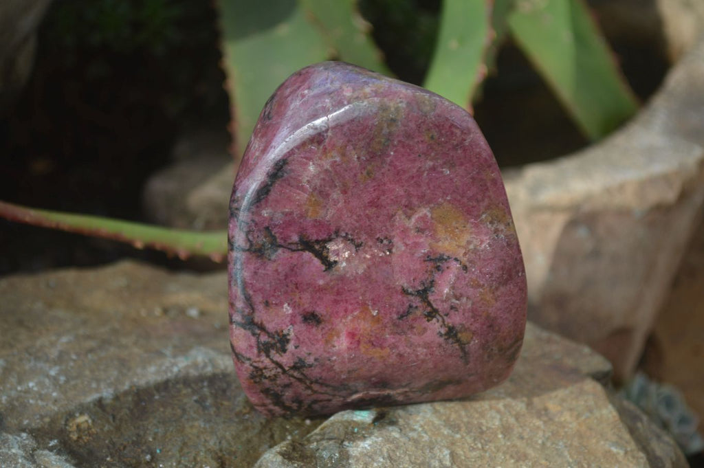 Polished Red Rhodonite Standing Free Forms x 3 From Zimbabwe - Toprock Gemstones and Minerals 