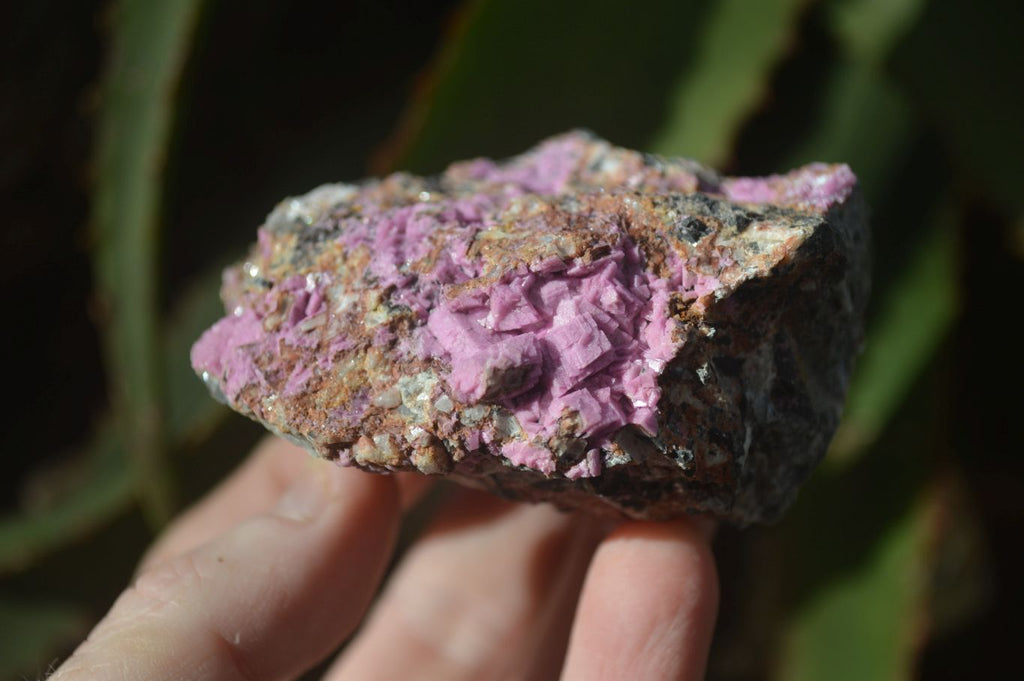 Natural Salrose Cobaltion Dolomite Specimens x 12 From Kakanda, Congo - Toprock Gemstones and Minerals 