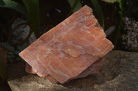 Natural New Giant Sunset Orange Calcite Specimens  x 1 From Spitzkop, Namibia - Toprock Gemstones and Minerals 
