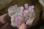 Natural Salrose Cobaltion Dolomite Specimens x 12 From Kakanda, Congo - Toprock Gemstones and Minerals 