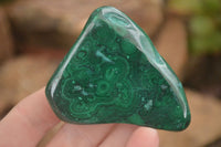 Polished Flower Malachite Free Forms  x 6 From Congo - Toprock Gemstones and Minerals 