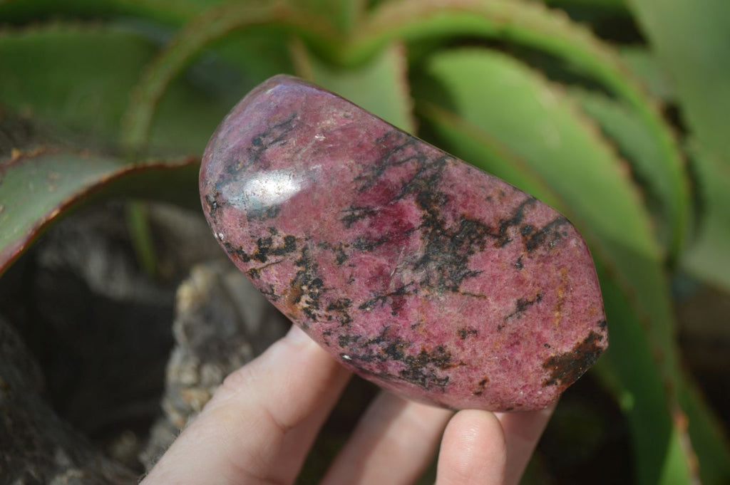 Polished Red Rhodonite Standing Free Forms x 3 From Zimbabwe - Toprock Gemstones and Minerals 