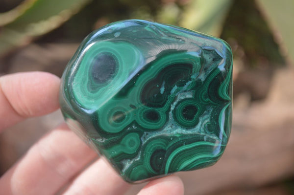 Polished Flower Banded Malachite Free Forms  x 12 From Congo - Toprock Gemstones and Minerals 